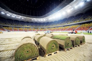 225461_10151834165043018_1427807855_n