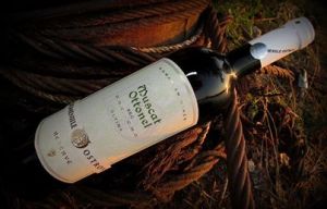 1013983_546380132095136_1384460243_n